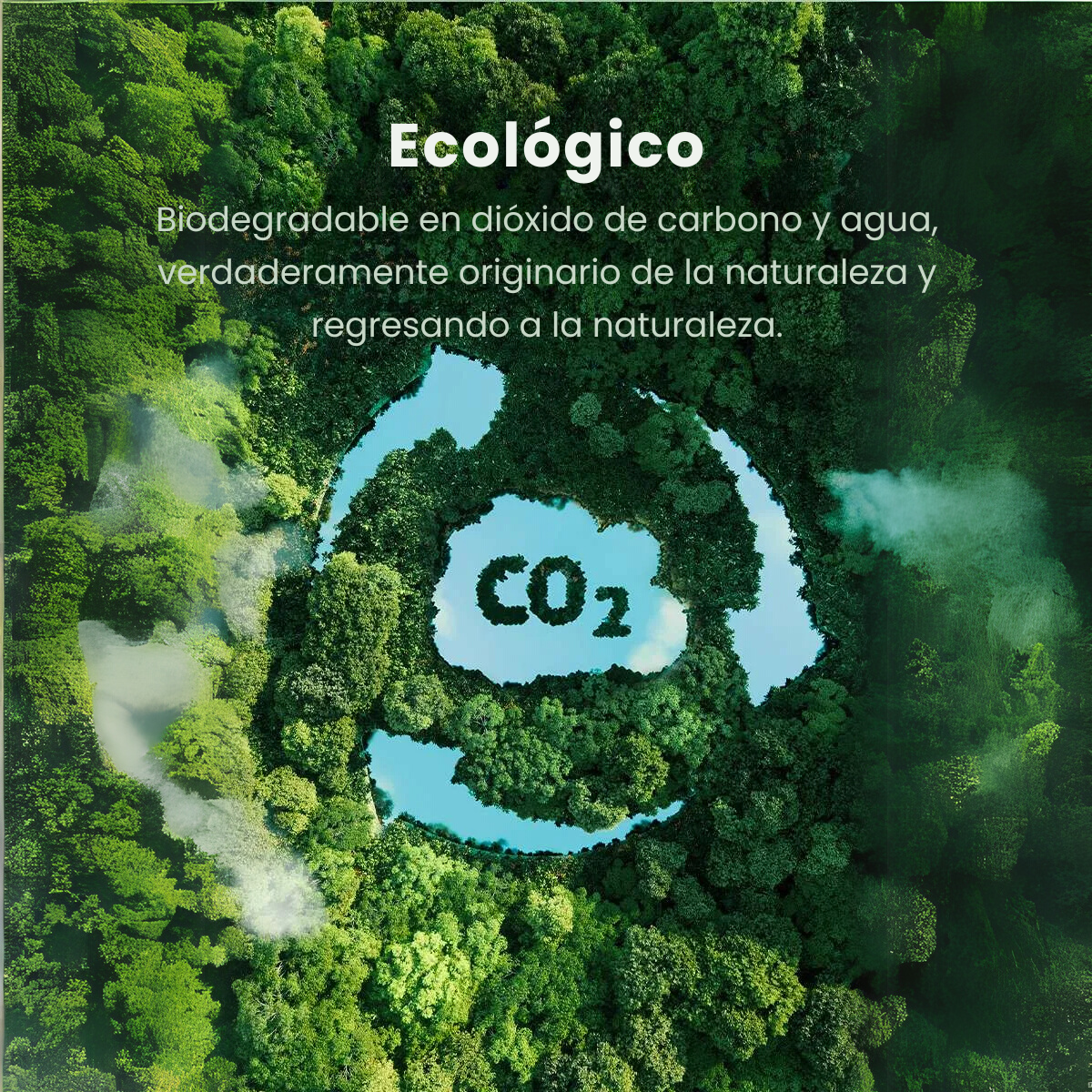 Resina Creality Vegetal 1Kg - Imagen 3