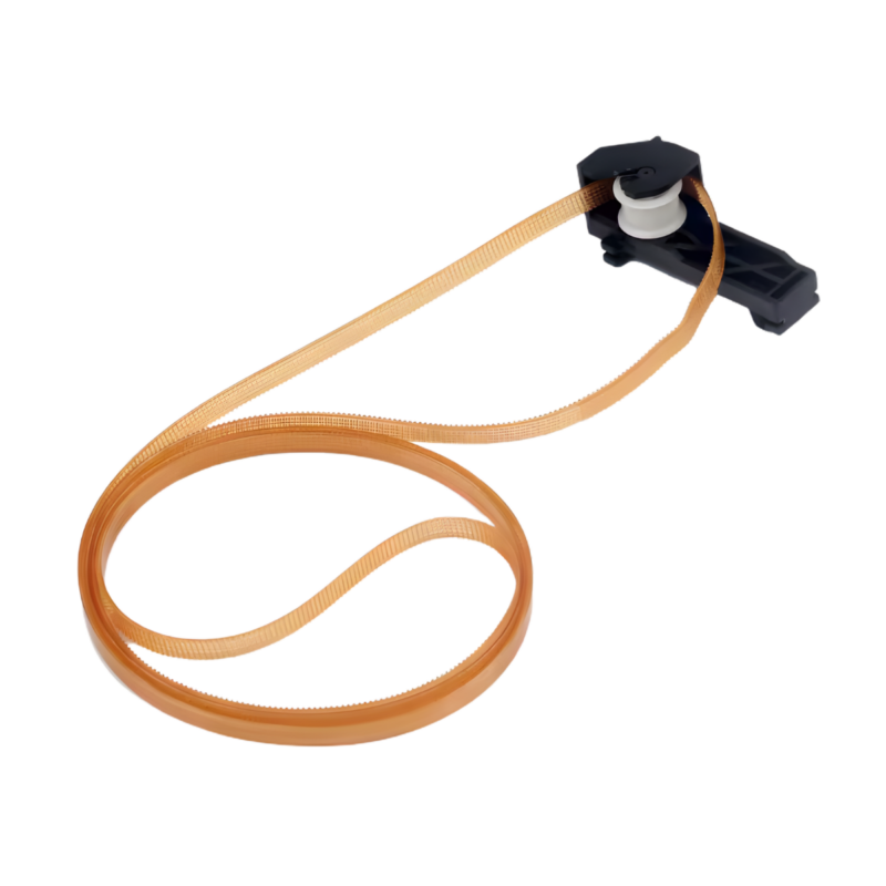 Correa De Distribución Del Motor Principal