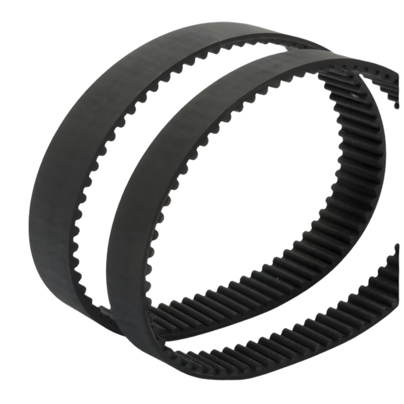 Correa Síncrona Anular